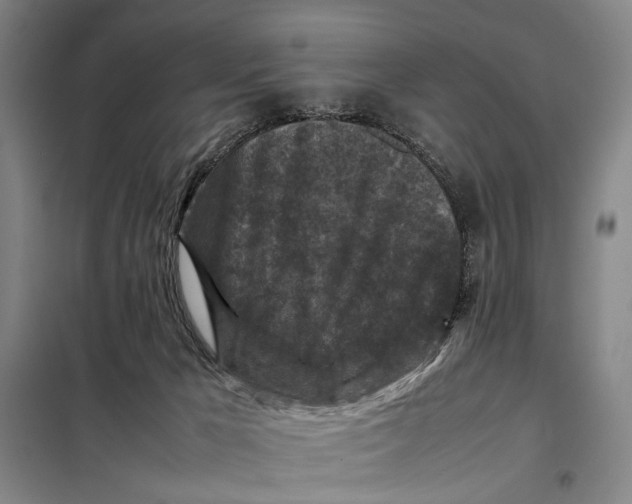 X0000097920029200804041534