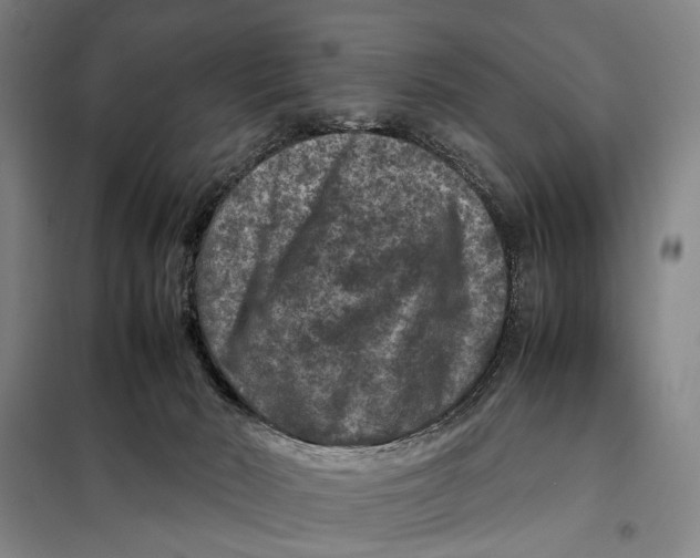 X0000097920030200804041534