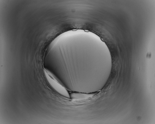 X0000097920031200804041534