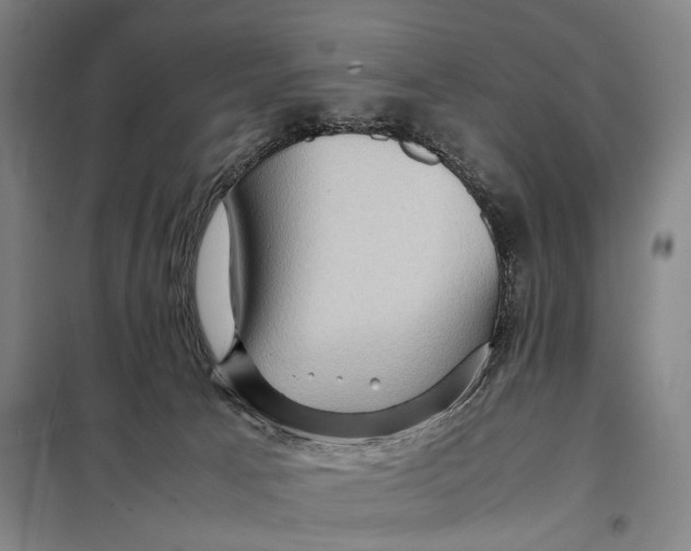 X0000097920033200804041534