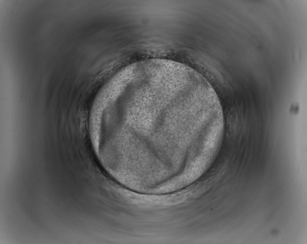 X0000097920034200804041534