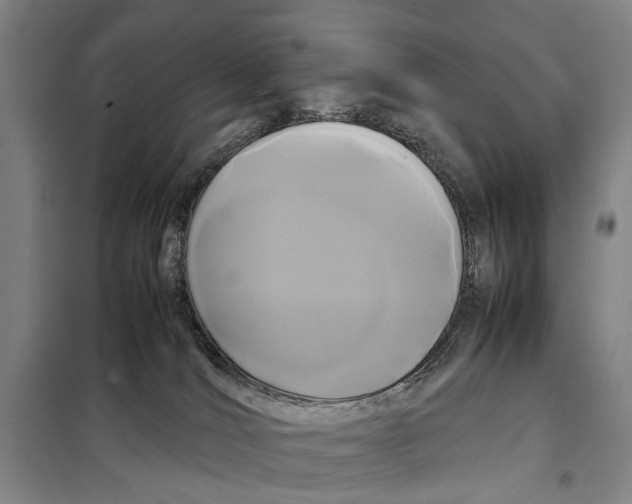 X0000097920036200804041534