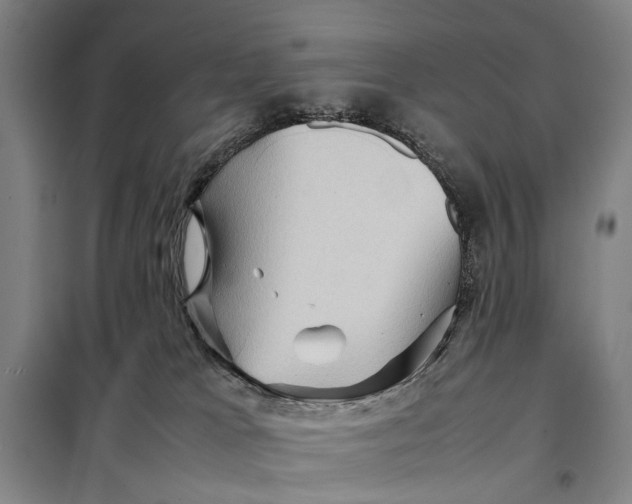 X0000097920037200804041534