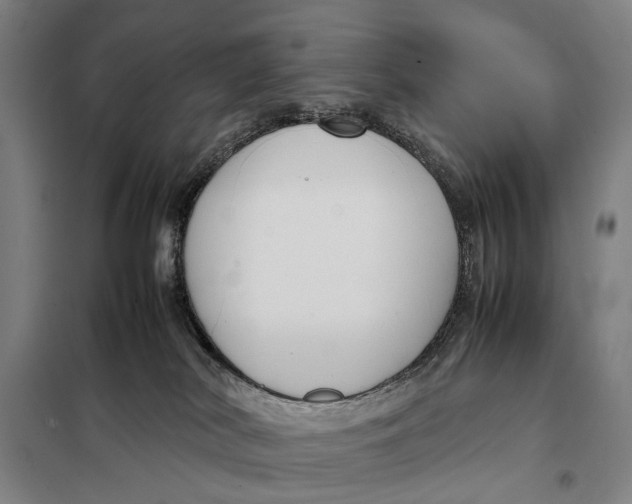 X0000097920038200804041534