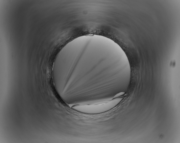 X0000097920039200804041534