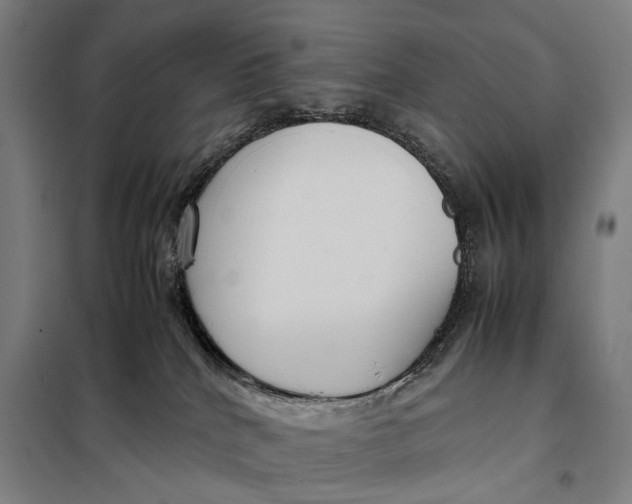 X0000097920040200804041534