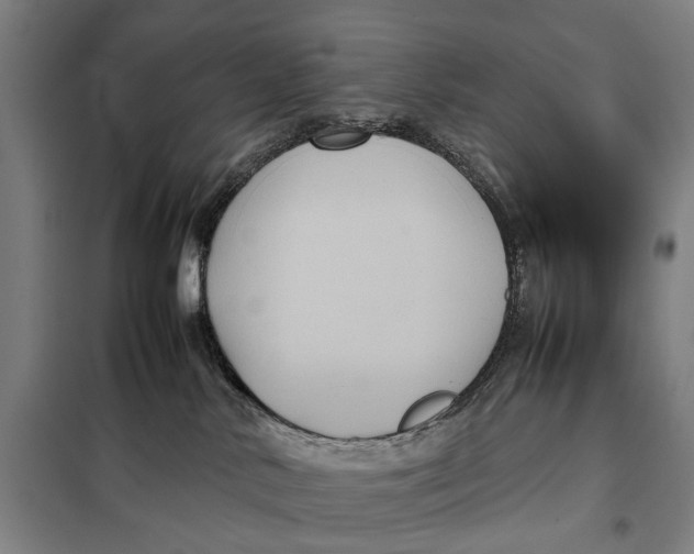 X0000097920042200804041534