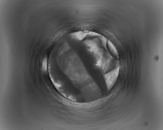 X0000097920046200804041534