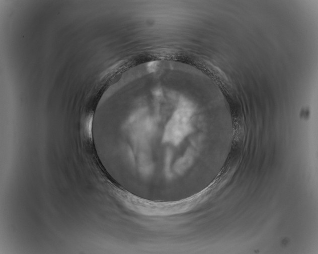 X0000097920047200804041534