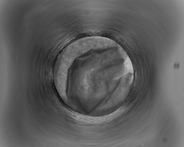 X0000097920048200804041534