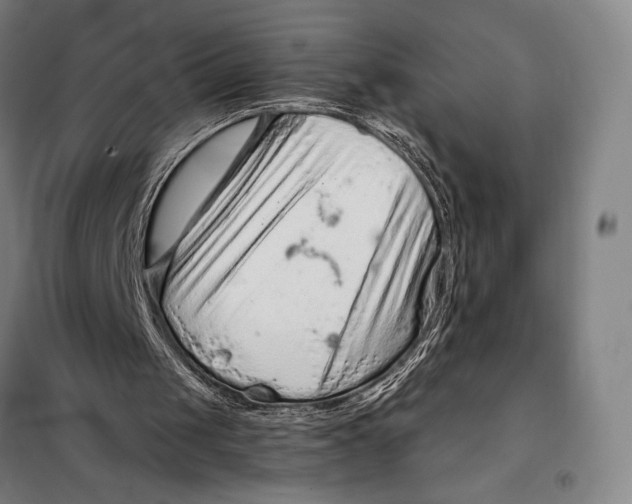 X0000097920049200804041533