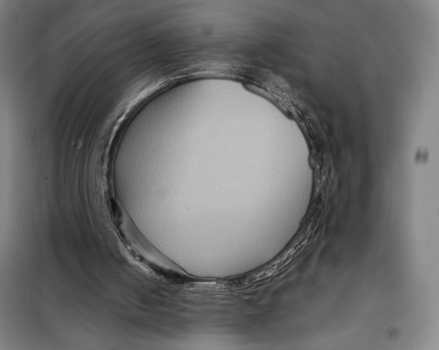 X0000097920050200804041533