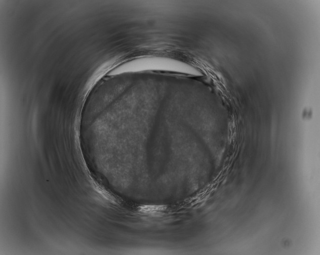 X0000097920051200804041533