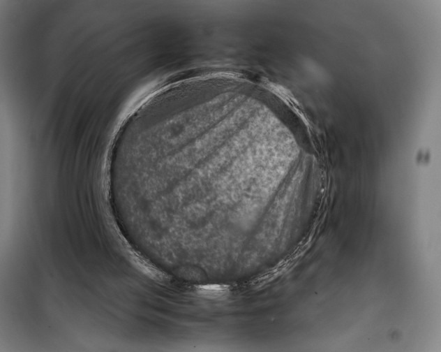 X0000097920053200804041533