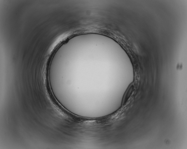 X0000097920054200804041533