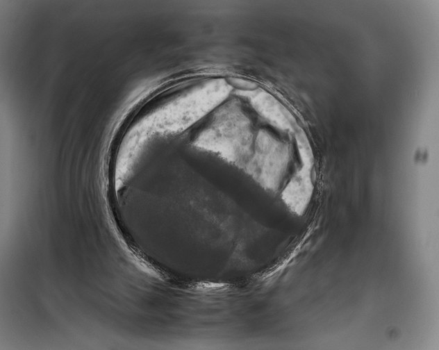 X0000097920055200804041533