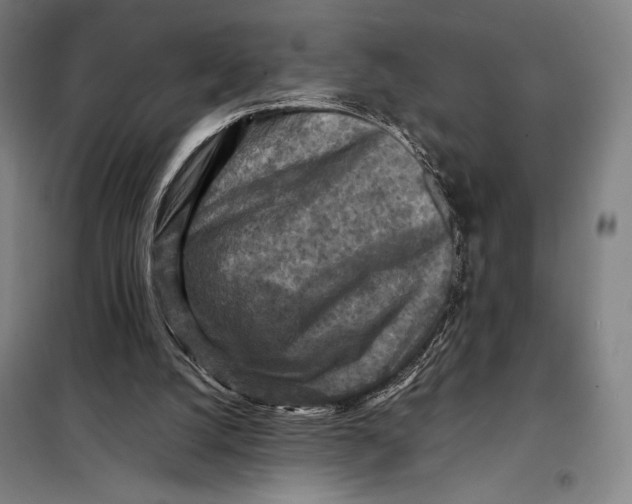 X0000097920056200804041533