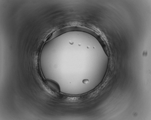 X0000097920057200804041533