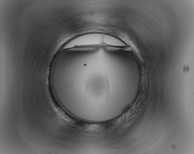 X0000097920058200804041533