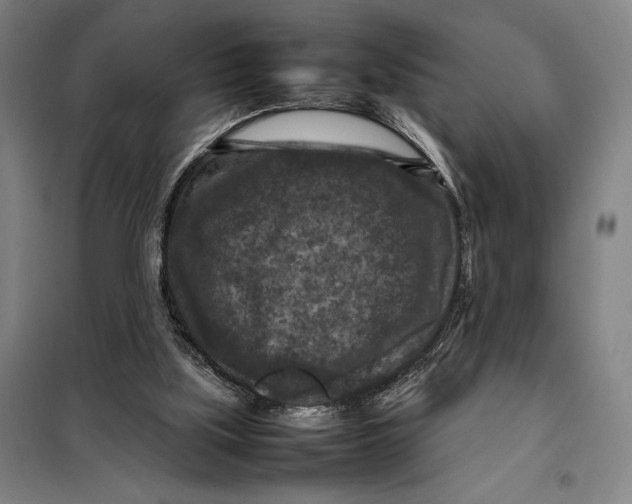 X0000097920059200804041533