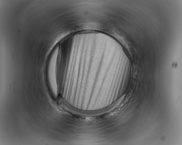 X0000097920060200804041533