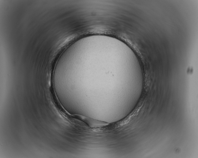 X0000097920062200804041533