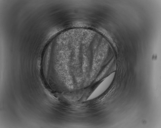 X0000097920063200804041533