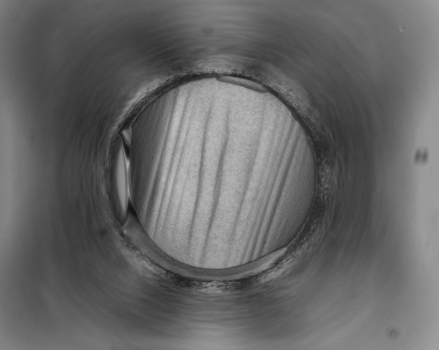 X0000097920064200804041533