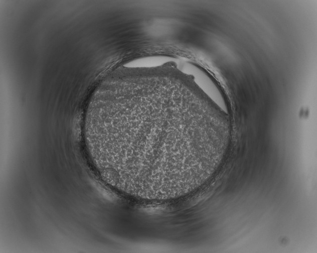 X0000097920065200804041533