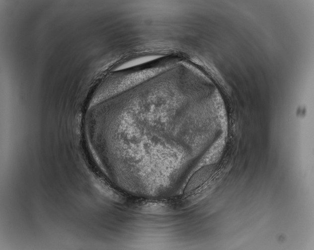 X0000097920066200804041533