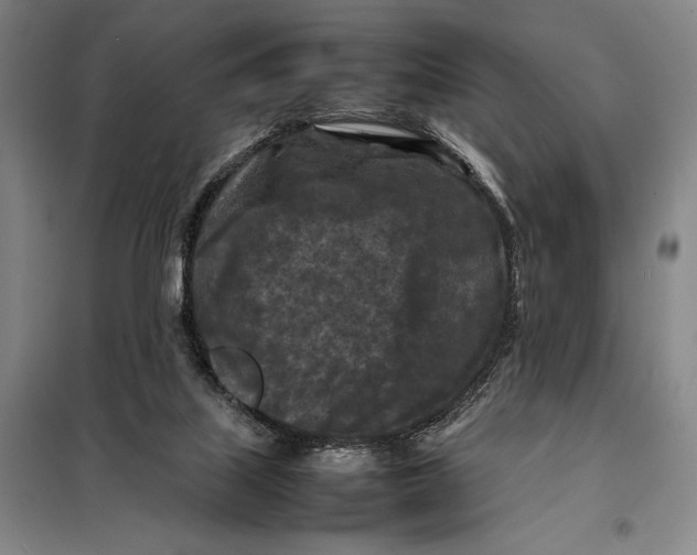 X0000097920067200804041533