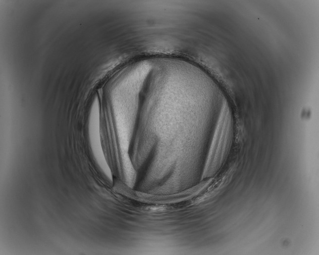 X0000097920068200804041533