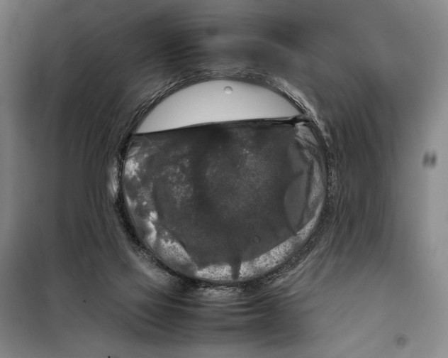 X0000097920069200804041533