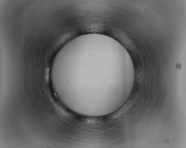 X0000097920070200804041533