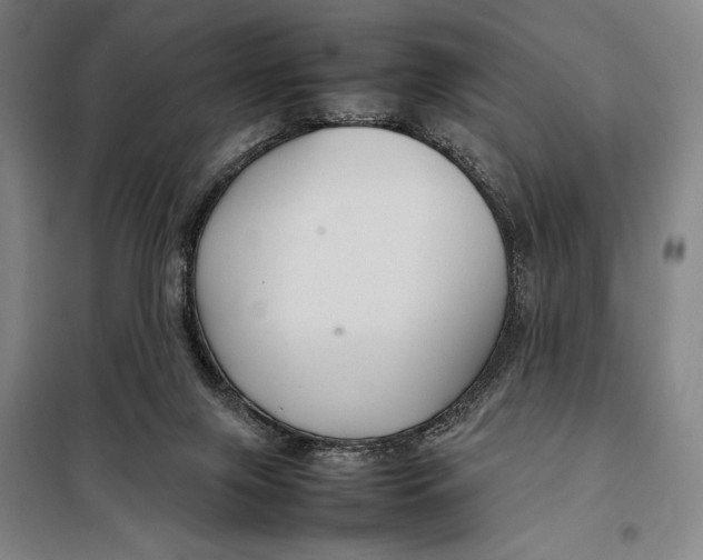 X0000097920071200804041533