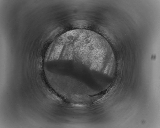 X0000097920073200804041533