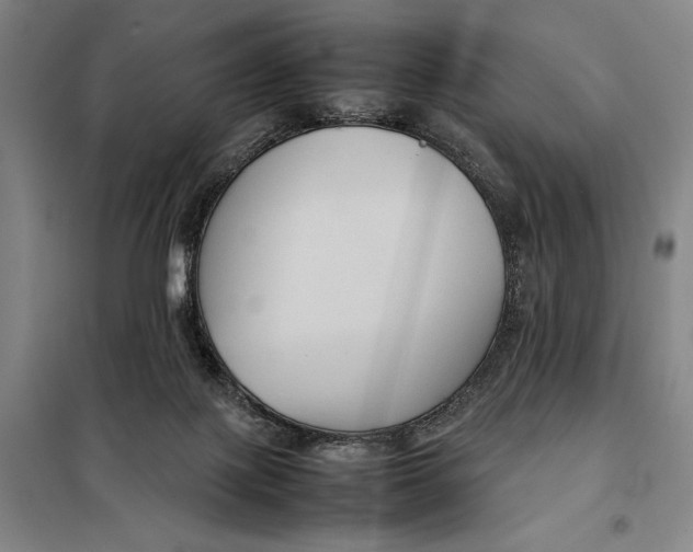 X0000097920075200804041533