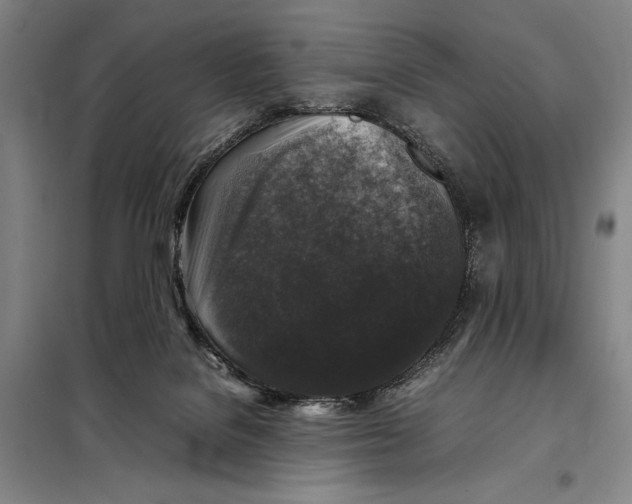 X0000097920076200804041533