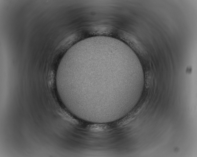 X0000097920077200804041533