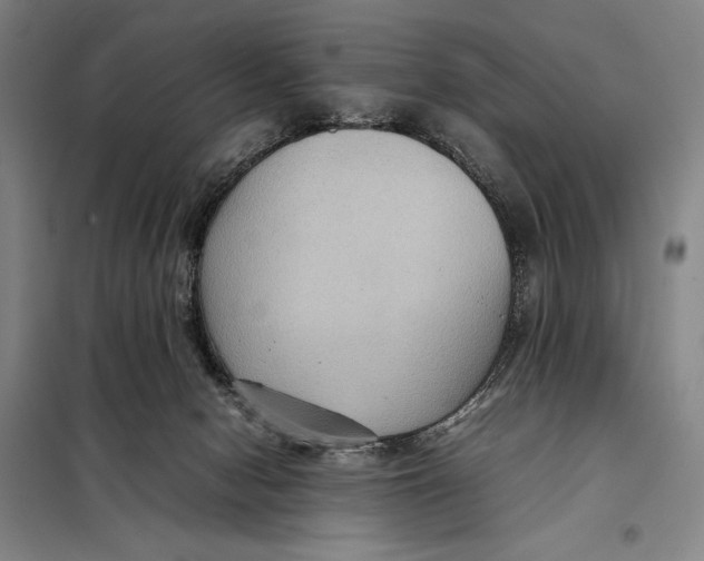 X0000097920078200804041533