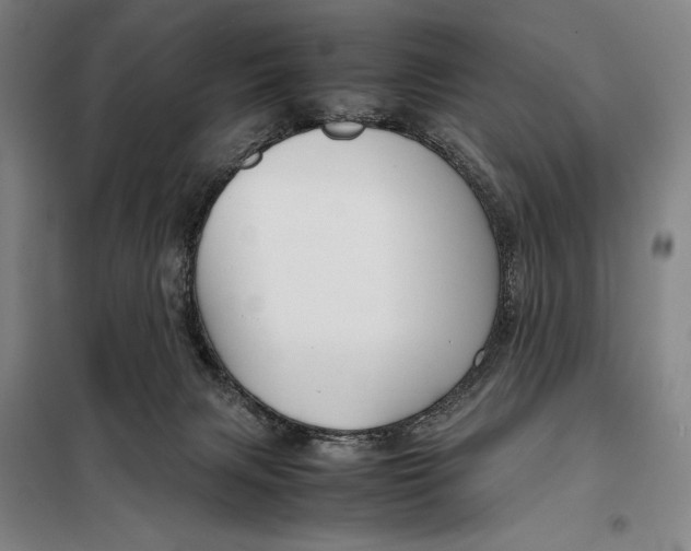 X0000097920079200804041534