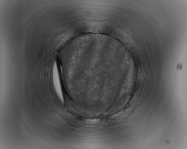 X0000097920080200804041534