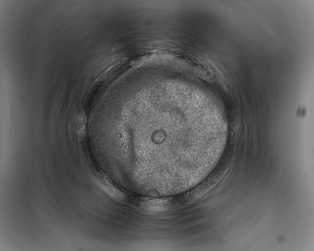 X0000097920081200804041534