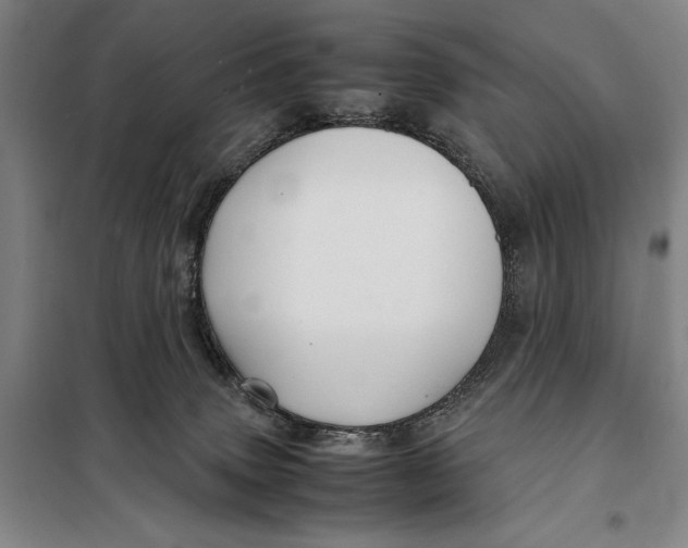 X0000097920083200804041534