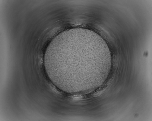 X0000097920085200804041534