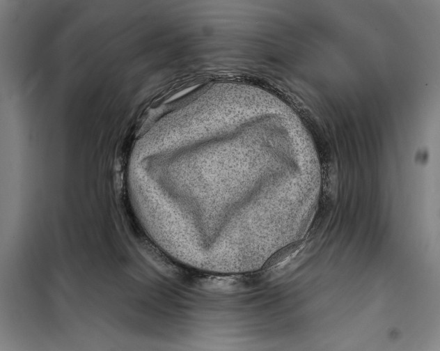 X0000097920086200804041534