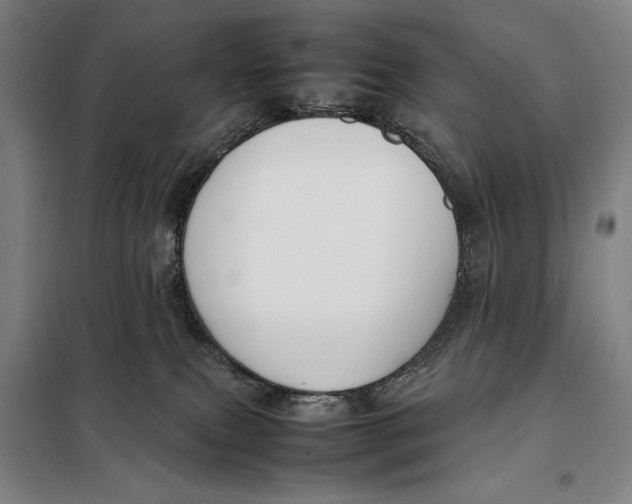 X0000097920087200804041534