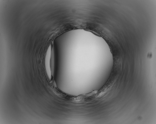 X0000097920088200804041534