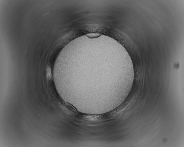 X0000097920089200804041534