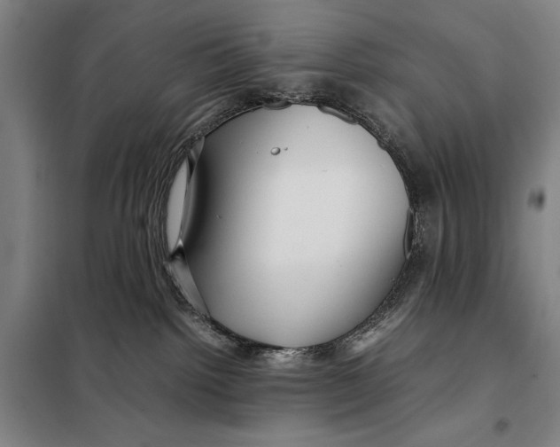 X0000097920092200804041534